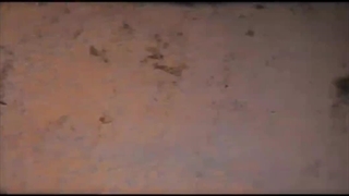 کمربند و جاده، ابتکار چینی که جهان را تغییر داده است