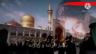 امام رضا(ع).مرحوم سید محمد باقر علوی
