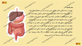 پاورپوینت معده