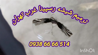 ترمیم شیشه ماشین غرب تهران در محل 09386666514