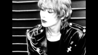 ⿻No! every body lied to you⿻