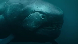 زندگی در سیاره ما ۱