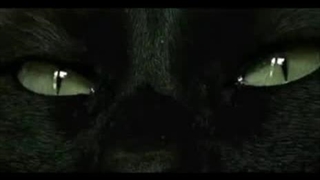 ولی چشای جنی شبیه گربه ها نیست؟؟