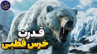 مقایسه قدرت خرس قطبی در برابر گونه های مختلف خرس