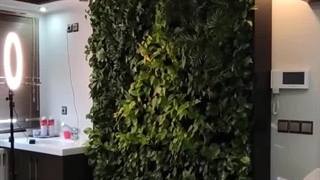 گرین وال طبیعی ریحان