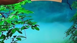 دوربین پلاک خوان ویدئوپارک