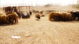 تیزر مستند زمزمه خون