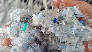 پت هات واش چیست؟