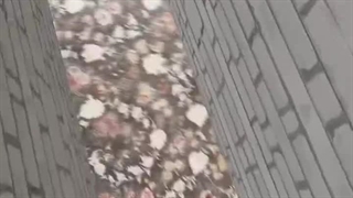 ولی چه فیلتر باحالیه:/