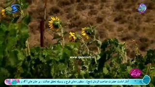 روستای تو آباد استان قزوین _ جای زندگی