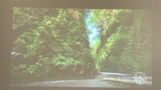 ویدئو پروژکتور کارکرده اپسون Epson PowerLite 1268