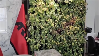 گرین وال طبیعی، محوطه پذیرش و دکور ورودی کارخانه 5