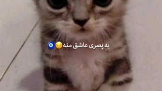 یپصری عاشق منه....