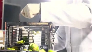 خشک کردن لیمو با دستگاه خشک کن میوه اسوه