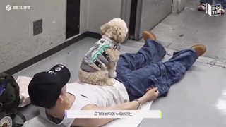 جوری که نیکی با بیسکو بازی میکنه⁦༎ຶ⁠‿⁠༎ຶ⁩