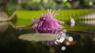 زندگی در سیاره ما ۳