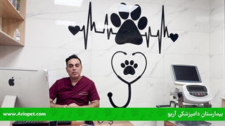 بیمارستان و دامپزشکی آریو