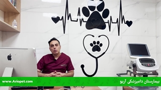 پیشگیری از بیماری پاراویروس