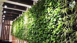 دیوار سبز طبیعی کافه رستوران - گرین وال طبیعی 12