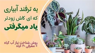 دیگه گیاهت از آبیاری غلط نمیمیره!