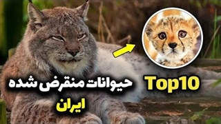 حیوانات منقرض شده ایران