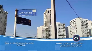 خشکاندن و قطع درختان در منطقه دو