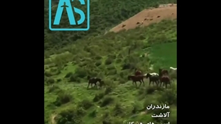 آلاشت مازندران. جهت دریافت بلیط روی لینک زیر کلیک کنید https://ascharter.ir/