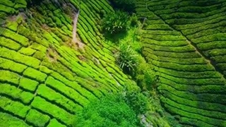 ویدیو هوای از مالزی