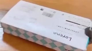 عروس هلندی دوگانه کارخانه / دامپزشک پرنده در میاندوآب