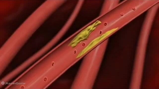 نور درمانی چیست