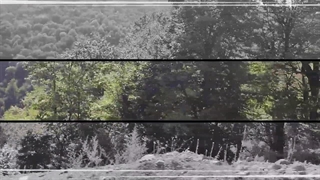 زندگی کوتاه است