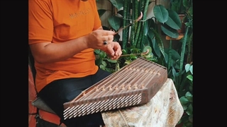 سنتور مجنون نبودم