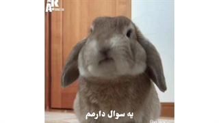 ادیتـ::یه‌سوال‌دارم؟؟تاحالا‌بهش‌فکر‌کردی:||‌افرین٠_٠