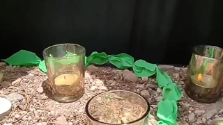 مجموعه مدارس سلام