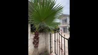 بازسازی ویلا چمستان روستای آپادانا