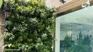 گرین وال فضای باز - دیوار سبز طبیعی 22 #دیوارسبز