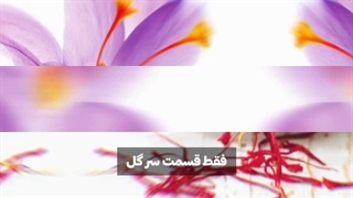 معرفی انواع زعفران