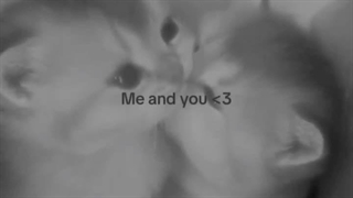 3>>>>>>>>>