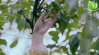 میکس سریال پرنسس نقره ای - Princess Silver OST ( ترک قایق ) به شدت پیشنهادی