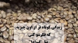 معرفی گیوادا