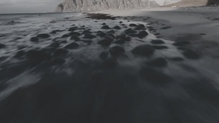 آهنگ بازم شراره دلا رو دیوونه کرده