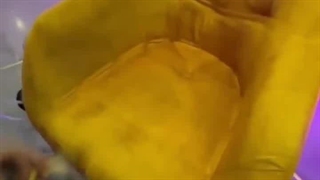 مبل شویی و قالیشویی بانو کرج