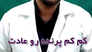 غذای پلت شده پرنده (بهترین غذای عروس هلندی و پرندگان)