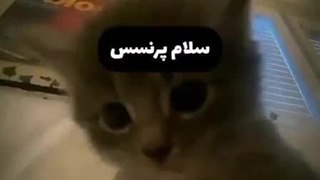 تقدیم به همه دخترا (｡◕‿◕｡)