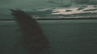 ویدیو احساساتی