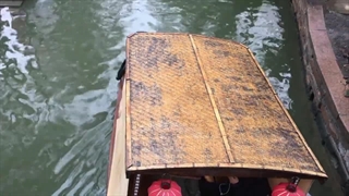 ژوجیاجیائو شانگهای