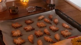 پاییز: فصلی برای نجواهای آرام طبیعت