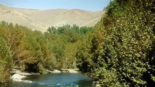 نازم به مورکان _ شعری زیبا در توصیف "مورکان اصفهان" با صدای بانو "منافی"