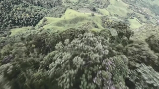 آهنگ آهای برگ گل یاس دلم بدجوری غوغاست