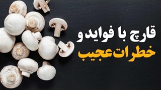 قارچ بافوایدی که در هیچ گیاه دیگری نیست!!